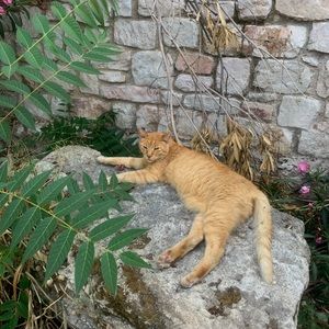 Meet your Posher, Samara